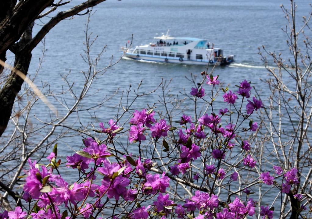 花开镜泊湖