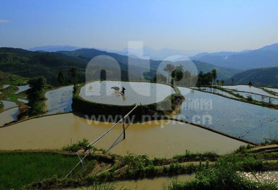 茗岙梯田 大地华章