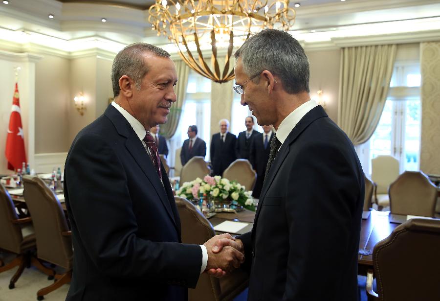 土耳其总统埃尔多安会见北约秘书长斯托尔滕贝格