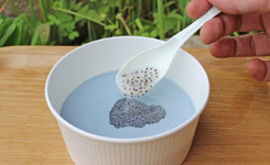 日本水族馆推出“蓝色蛙卵汤” 口感润滑有弹性