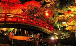 京都：红叶与文化辉映