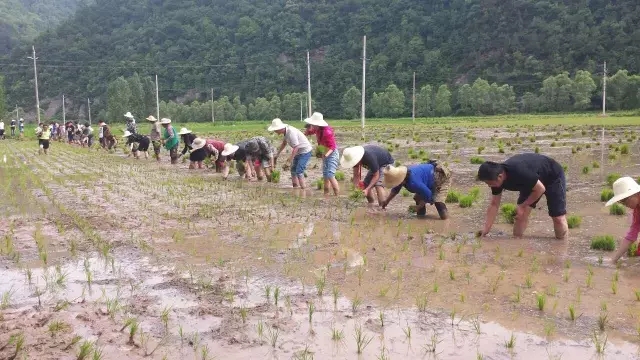 青年编辑记者“延安行”：传承民族精神 磨砺坚强意志