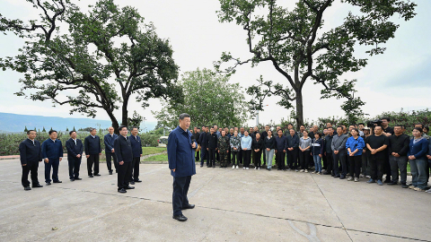 习近平:乡村振兴要靠产业,各地要各展其长