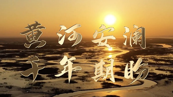 时政镜距离|黄河安澜,千年期盼