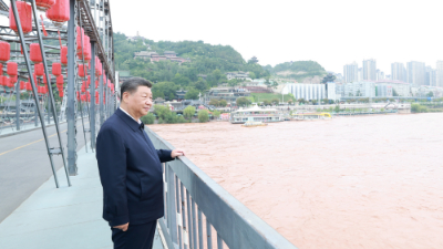 总书记甘陕行 | 记者手记:践青山之诺,成大河之治