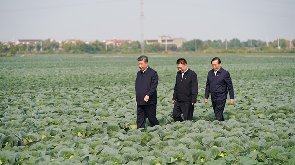 习近平:推进中国式现代化,必须加快推进乡村振兴