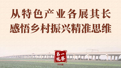 第一观察丨从特色产业各展其长感悟乡村振兴精准思维