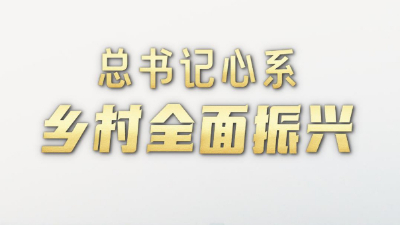 第1视点|总书记心系乡村全面振兴