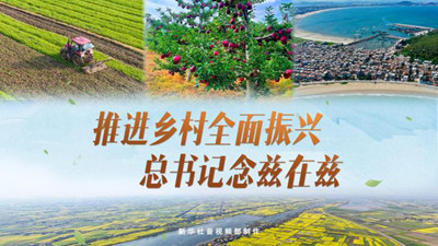 微视频|推进乡村全面振兴 总书记念兹在兹