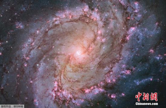 资料图:哈勃望远镜拍摄螺旋星系M83 绚丽紫色宛如宝石